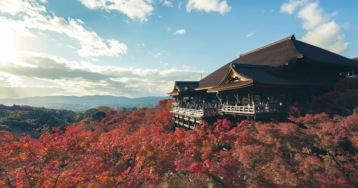 A Japanese temple framed by vibrant red and orange autumn maple trees in full fall color