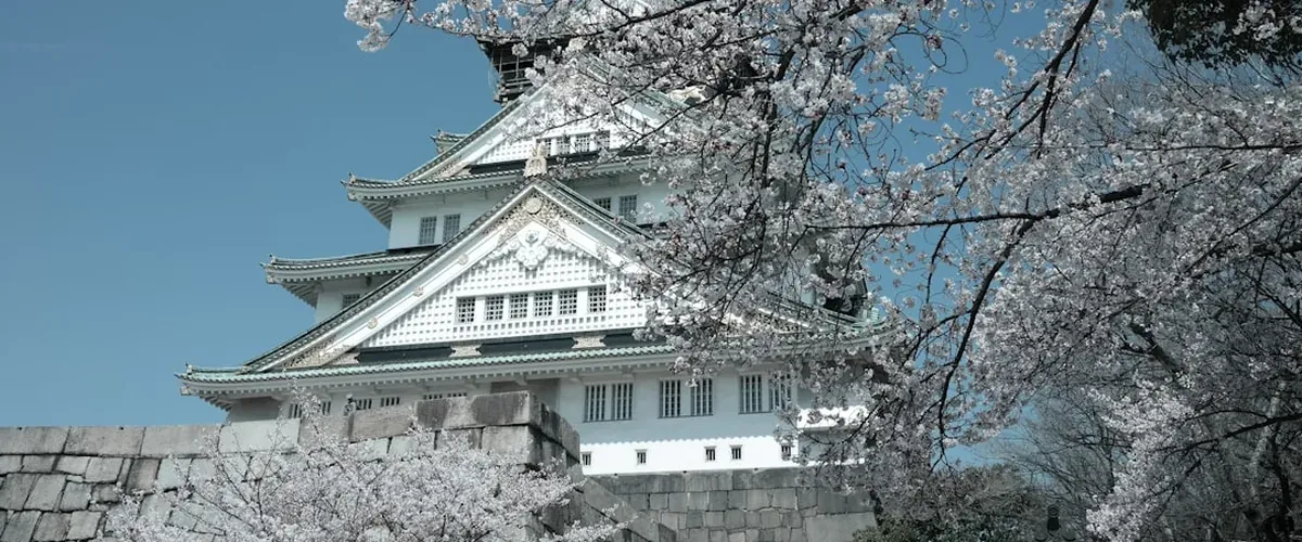 Osaka Castle framed by cherry blossom trees in full bloom in the surrounding park