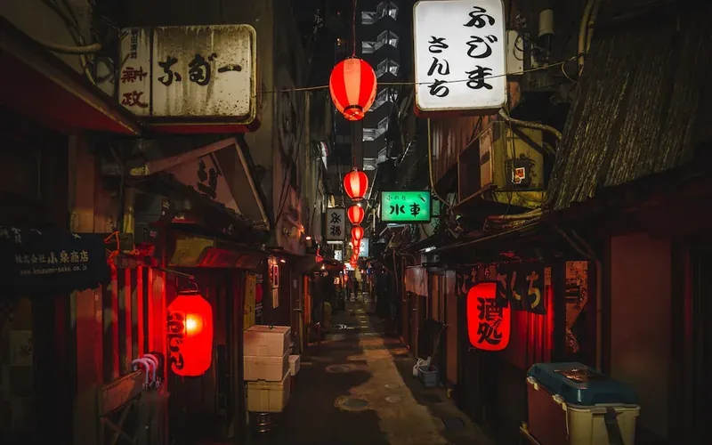 Traditional stone-paved alley with glowing paper lanterns in Osaka's Hozenji Yokocho
