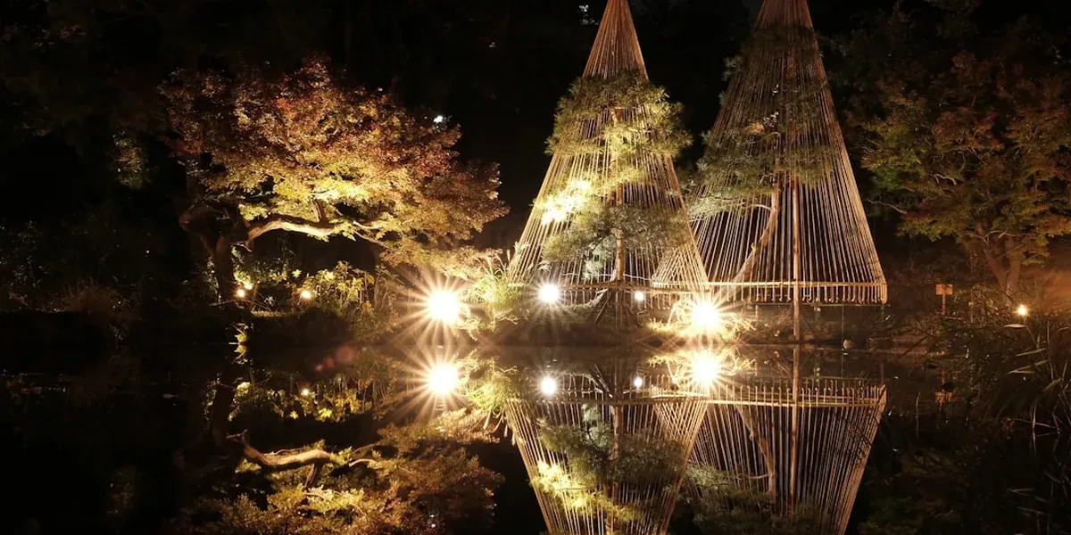 A Japanese temple illuminated at night with vibrant red and orange autumn maple trees glowing under colored lights